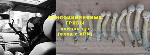 шишки Михайловка