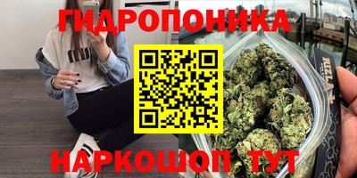 Альфа ПВП Дмитров
