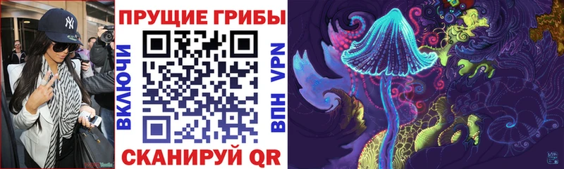 Галлюциногенные грибы Psilocybine cubensis  Купить где  Североуральск 