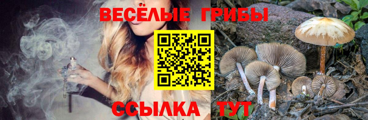 Галлюциногенные грибы Psilocybe  Вход с VPN  Псилоцибиновые грибы Cubensis  Североуральск 