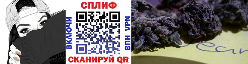 Купить закладки  Североуральск  Бошки марихуана THC 21% 
